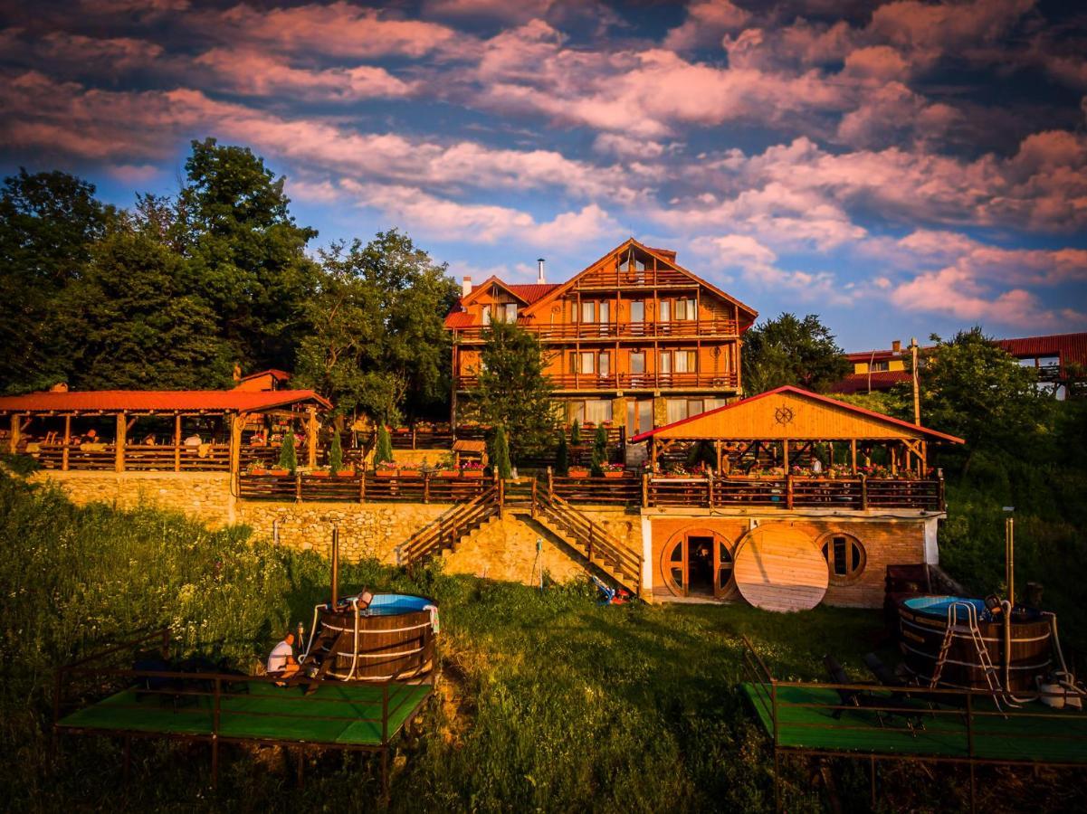Hotel Pensiunea La Maria Lu' Sandoiu Poenari Exterior foto
